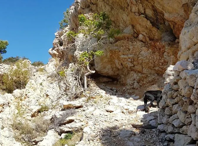 펜션 Kod Senja 60/a 스타리그라드