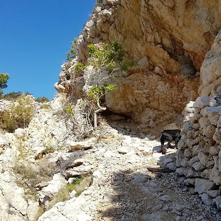 Vakantiehuis Kod Senja 60/a Starigrad (Kvarner)